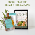Beat the Bloat gluten and dairy free beginners guide PDF ebook cover