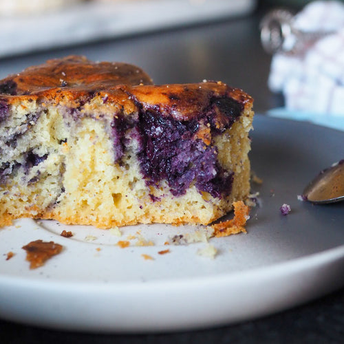 Close up of gluten free blueberry cake squares showing soft moist texture and fresh blueberries